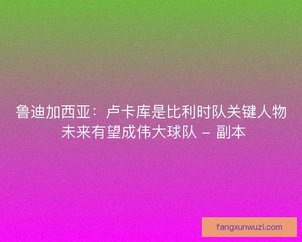 鲁迪加西亚：卢卡库是比利时队关键人物 未来有望成伟大球队 - 副本